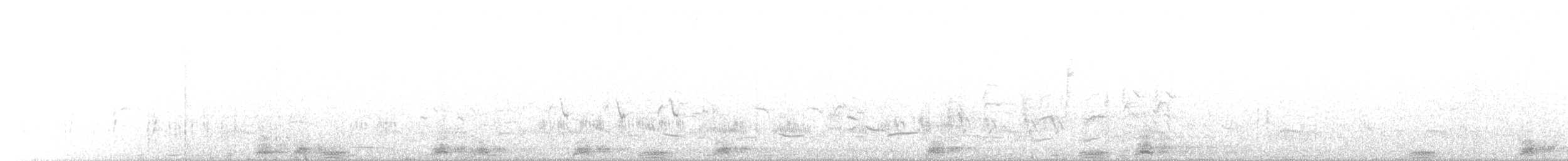 Little Bittern - ML645776414