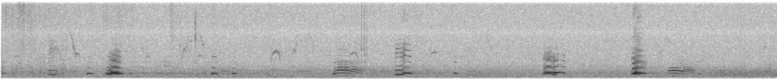 Cisne Cantor - ML645776468