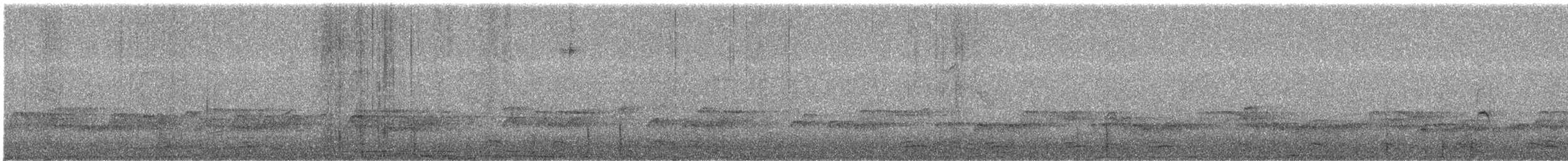 Bambusícola China - ML645776474