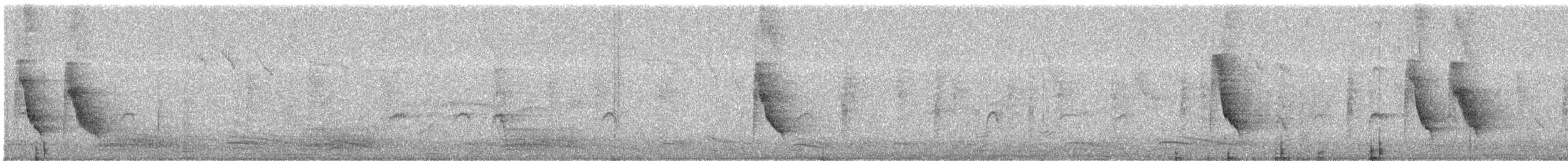 Charlatán Payaso - ML645776480