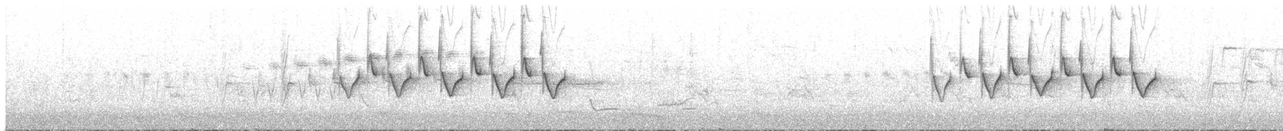 Coal Tit - ML645776680