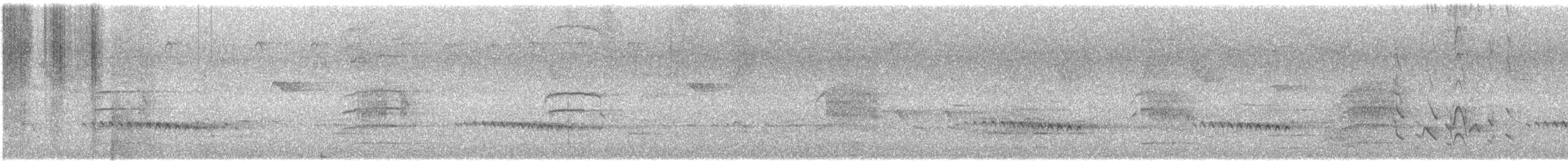 Fan-tailed Cuckoo - ML645776702