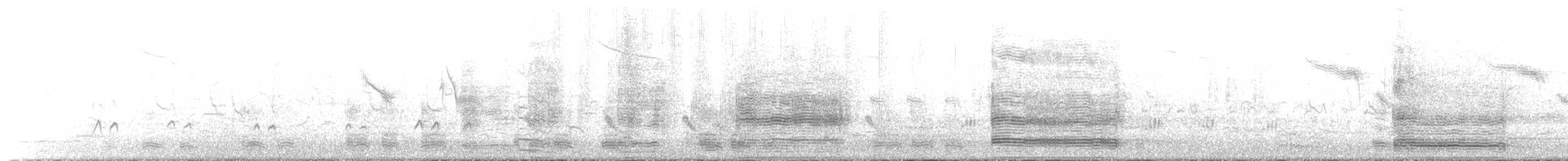 Graylag Goose - ML645776715