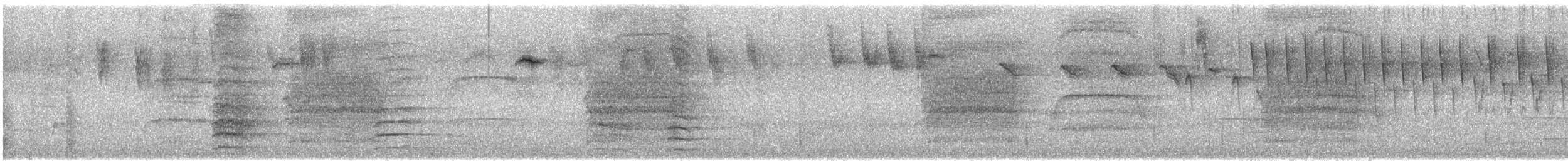 Red-winged Fairywren - ML645777121