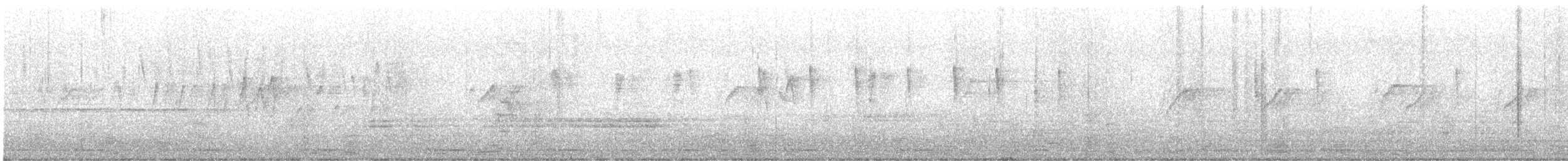 květozob křivozobý - ML645777908