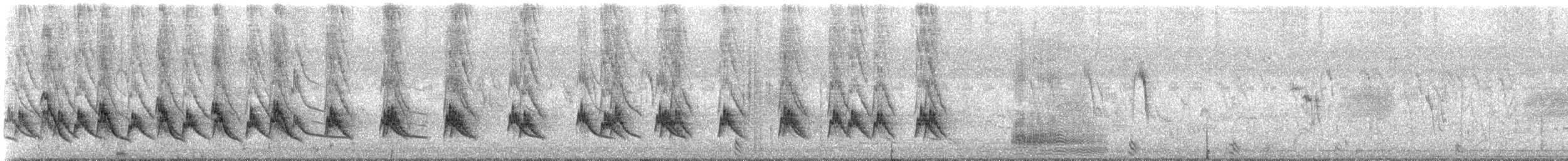 Striated Babbler - ML645777935