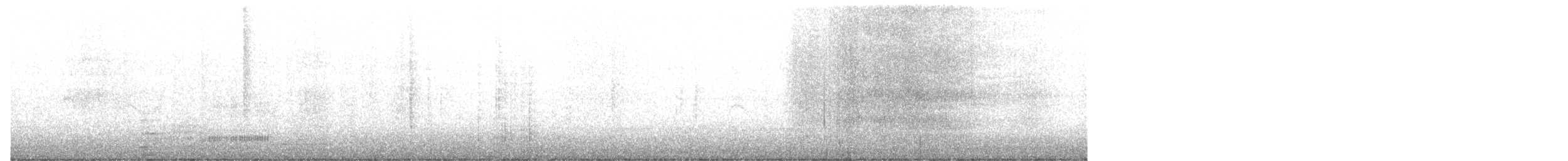 Ohrenscharbe - ML645778003