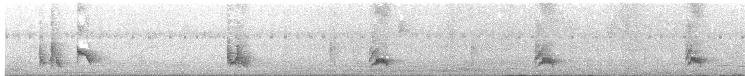 Tropical Mockingbird - ML645778305