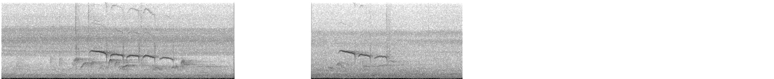 Spectacled Weaver - ML645778646