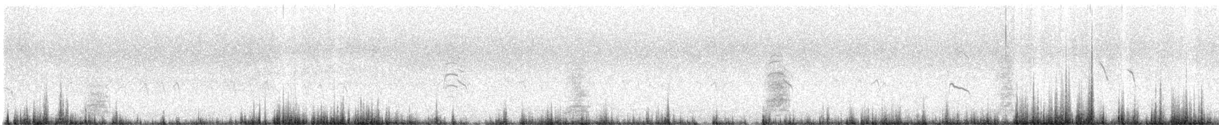 Koartza hauskara - ML645778718