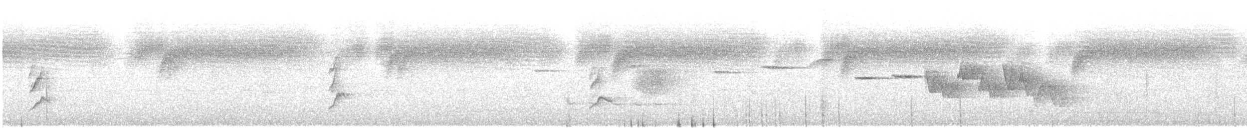 Hegaztia sp. - ML645778792