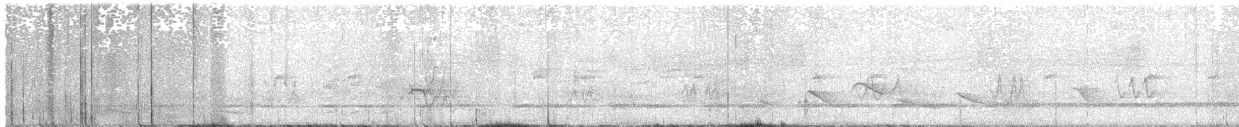 Tinamu arrea - ML645778833