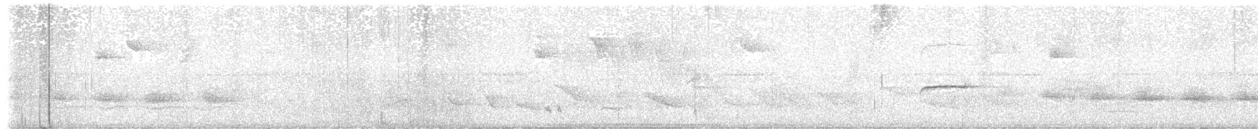 Black-billed Scythebill - ML645778863