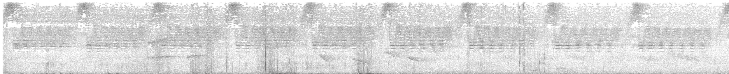 Drab-breasted Pygmy-Tyrant - ML645778876