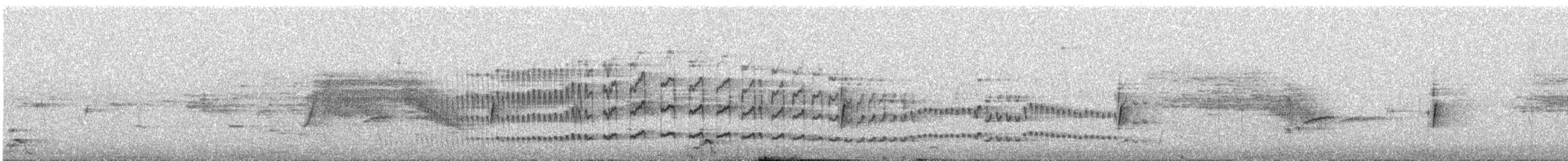 Dark-winged Canastero - ML645778928