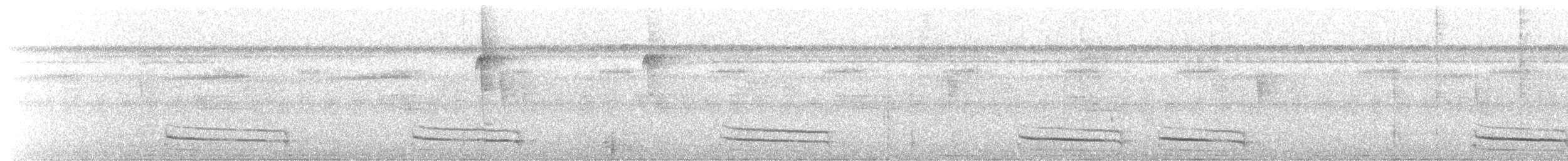 Black-crowned Antshrike - ML645778972