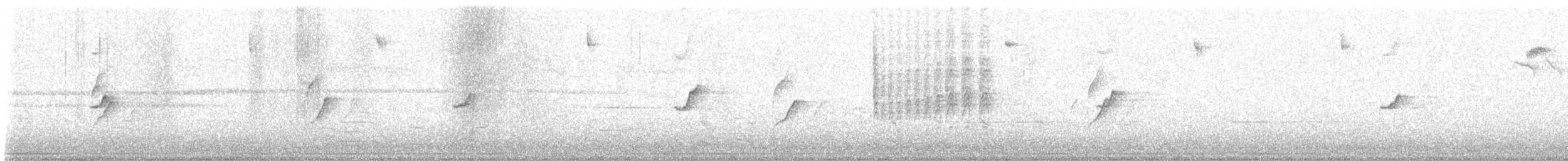 Common Chiffchaff - ML645779083