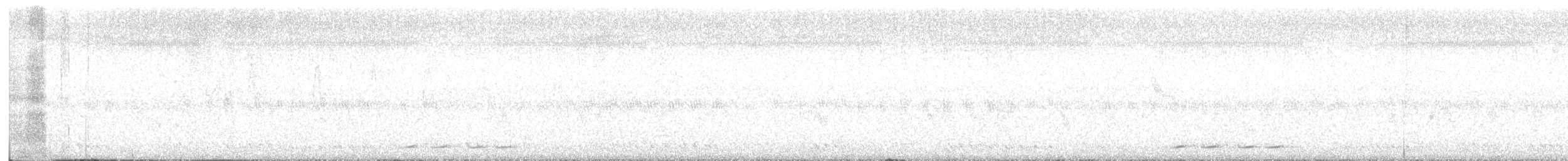 Tayvan Barbeti - ML645779574