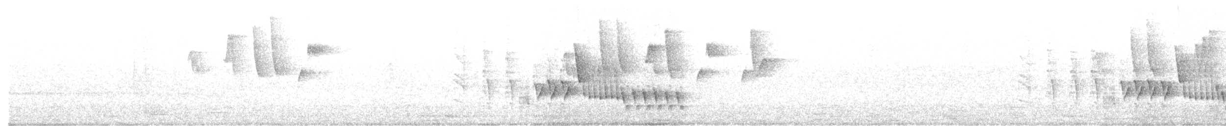 Southern House Wren - ML645781361