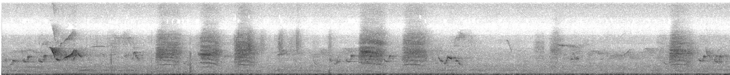 Hair-crested Drongo - ML645781379