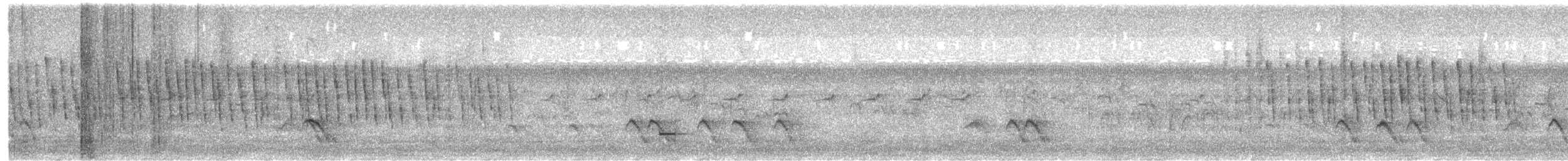 Marsh Grassbird - ML645781433