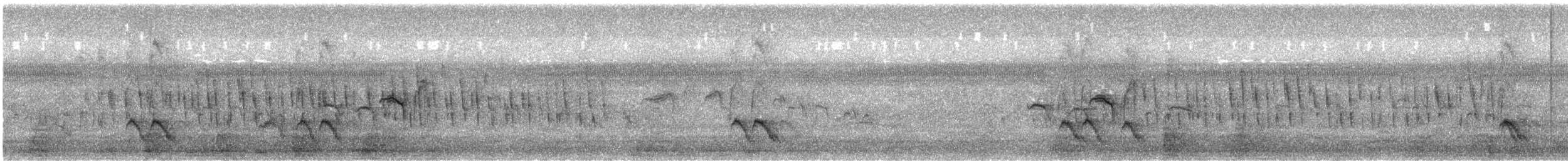 Marsh Grassbird - ML645781434