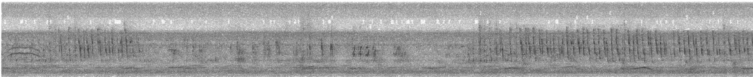 Marsh Grassbird - ML645781435