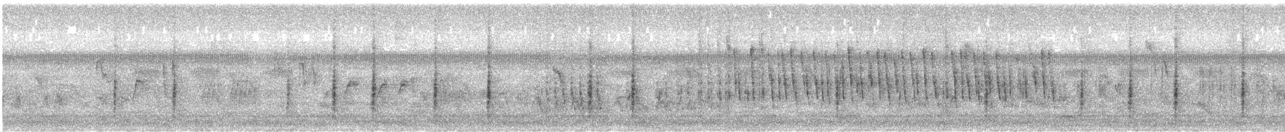 Marsh Grassbird - ML645781436