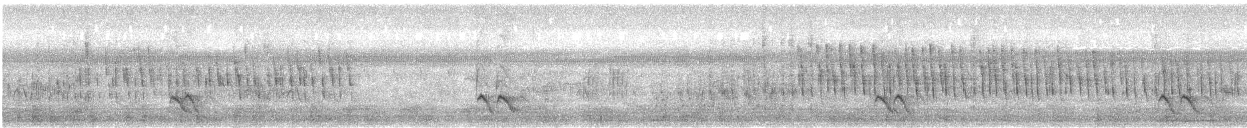 Marsh Grassbird - ML645781437