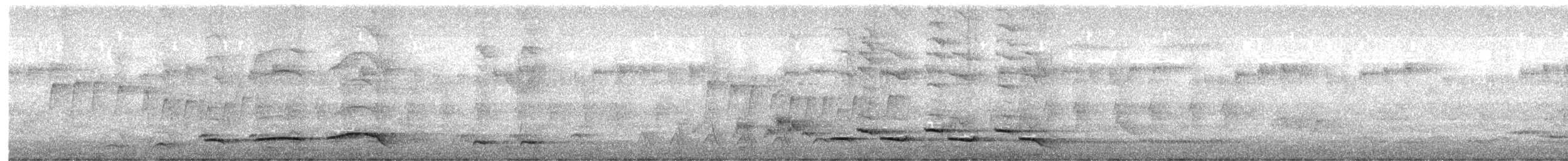 Charlatán Golinegro (Golinegro) - ML645781665