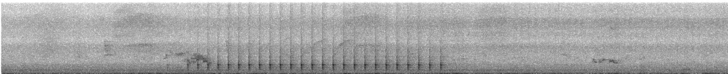 Carpinterito Moteado - ML645781815