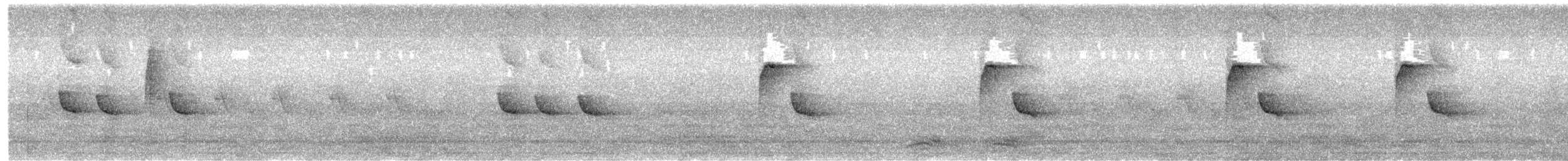 Carbonero Oriental - ML645781903