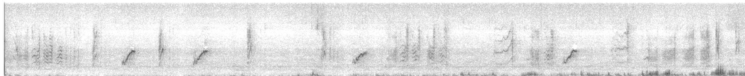 Cistícola Cabecidorado - ML645781981