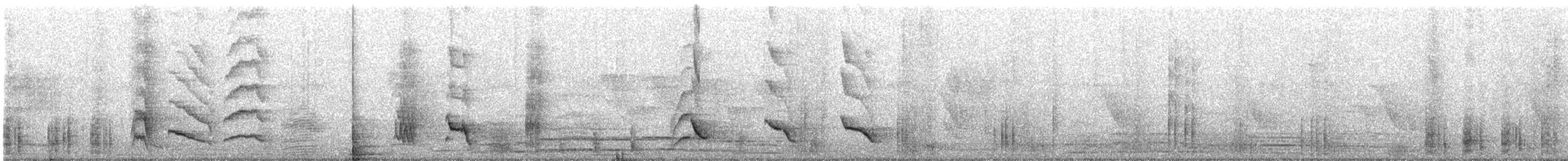 Common Myna - ML645781997