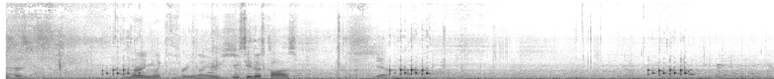 Common Raven - ML645782020