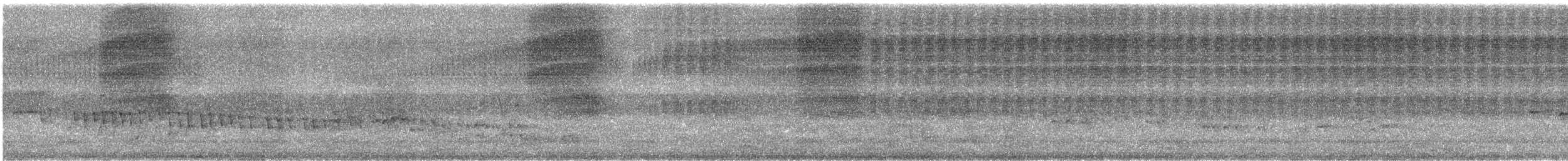 Ruiseñor Silbador - ML645782056