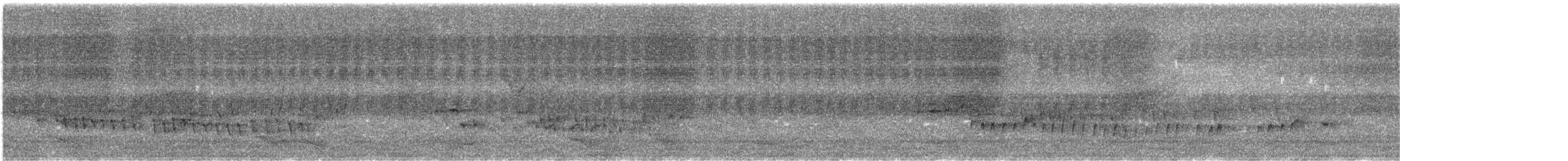 Ruiseñor Silbador - ML645782057