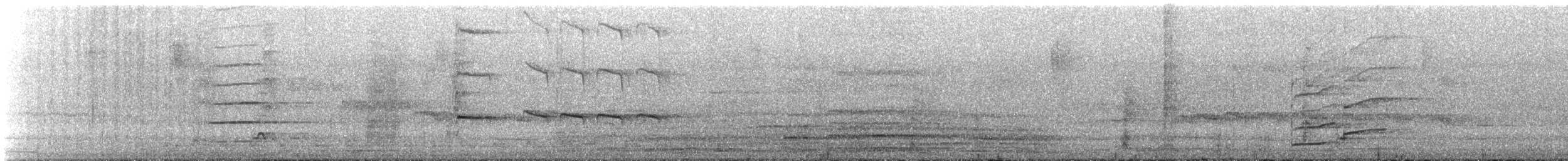 Zanate Mexicano - ML645782109