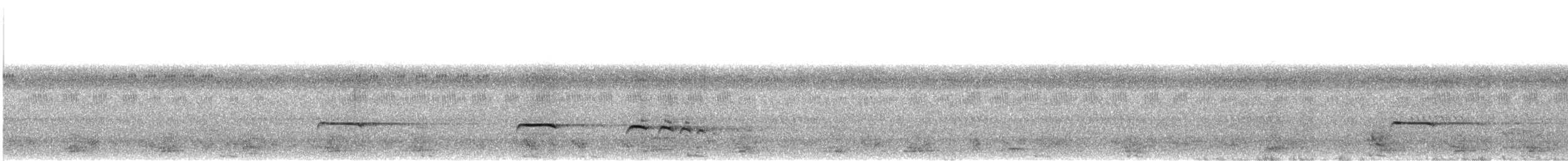 Cuco Plañidero - ML645782114