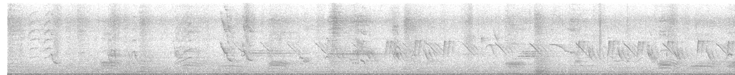 Common Tailorbird - ML645783875