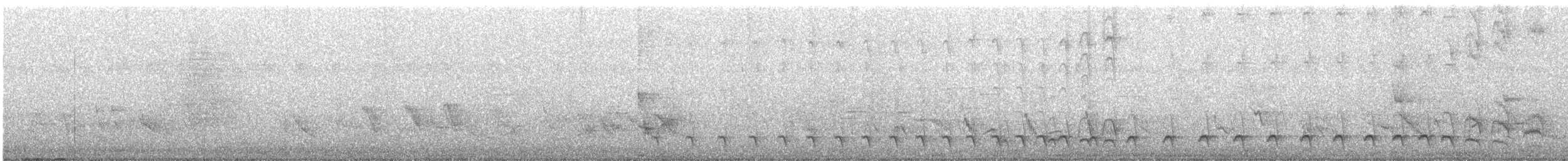 Black-crested Antshrike - ML645784041