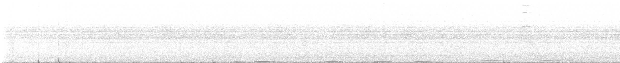 Virginiauhu - ML645785274