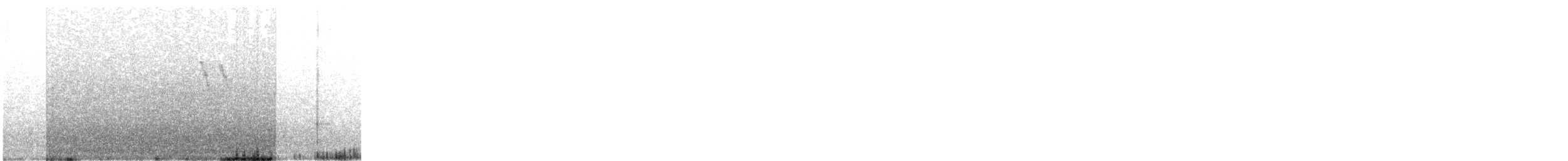 American Pipit - ML645786906