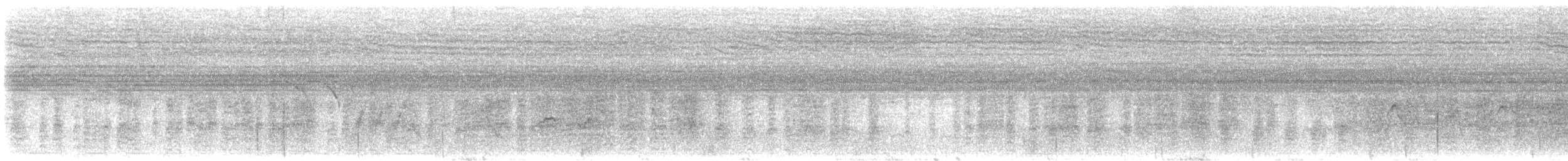 Hinde's Pied-Babbler - ML645787075