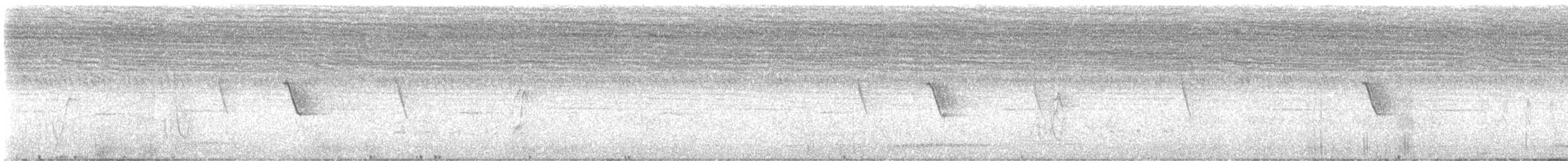 African Pied Wagtail - ML645787090