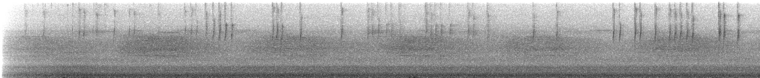 Stripe-tailed Hummingbird - ML645787737