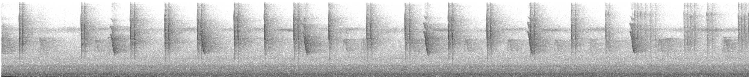 Violet Sabrewing - ML645787746