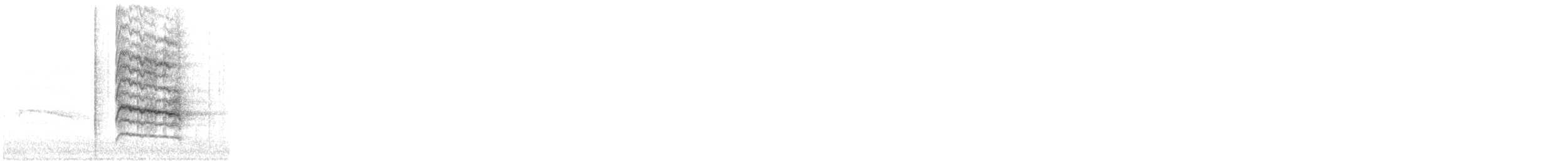 sojka chocholatá - ML645789172