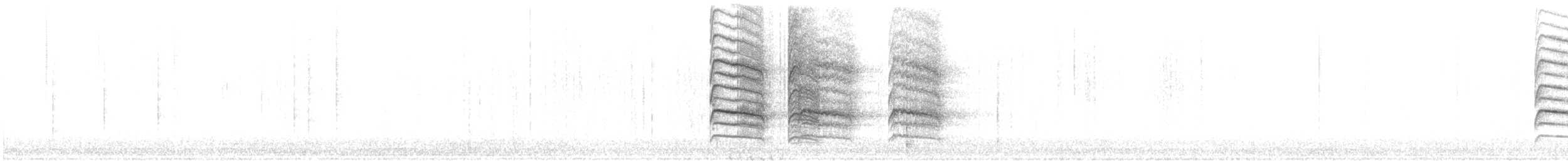 sojka chocholatá - ML645789175