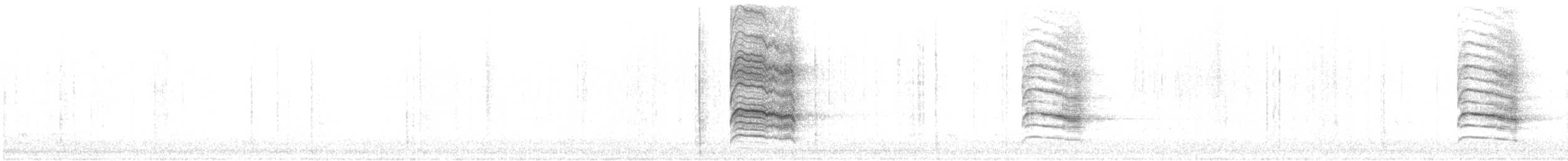 sojka chocholatá - ML645789177
